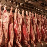 Бизнес-план мясного убойного цеха переработка мяса крс и свинины
