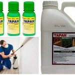 What is Taran&#39;s bedbug repellent famous for?