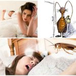 Why dream of crushing cockroaches in a dream?