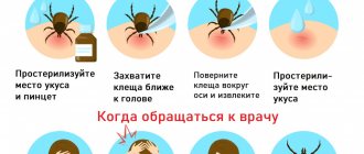 How to remove a tick.jpg