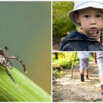How to protect yourself from ticks in nature
