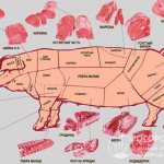 Классическая схема разруба свиной туши