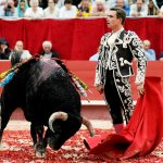 Corrida - bullfight (Corrida de Torros)