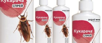 Cucaracha for cockroaches