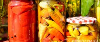 Honey marinade is good for red sweet fruits and hot chili peppers