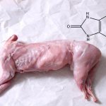 uric acid in meat