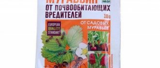 Anteater against garden ants - instructions and reviews