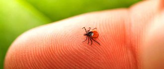 About all the dangers associated with ticks...