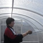 Greenhouse treatment in spring