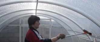 Greenhouse treatment in spring