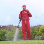 Опрыскивание газона инсектицидом