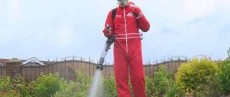 Опрыскивание газона инсектицидом