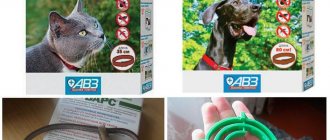 Bars flea collars for cats and dogs
