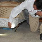 Raptor for bedbugs, description and reviews