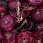 Secrets of cultivating Yalta onions: how to properly grow the red Crimean variety? Harvest and storage 