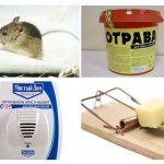 Mice control products