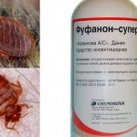 Remedy for bedbugs &quot;Fufanon&quot;