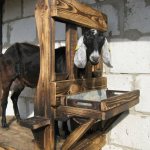 Станок для дойки коз облегчает процесс доения