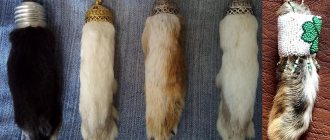 The rabbit&#39;s foot talisman will give you good luck and success