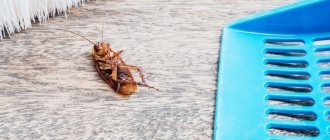 The cockroach is dead