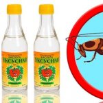 Vinegar for cockroaches