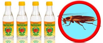 Vinegar for cockroaches