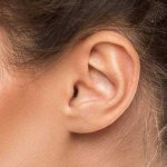 Ear mites in humans - description, symptoms, treatment