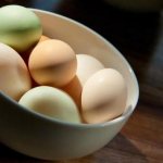 Duck eggs: benefits and harms